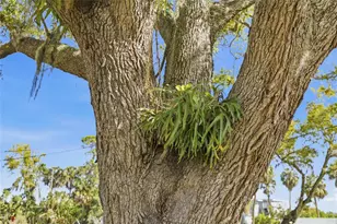 906 Tropical Dr, Bradenton, FL 34208 - Photo 46