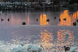 1151 Riverscape St, Bradenton, FL 34208 - Photo 52