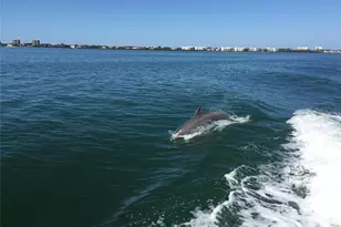 2600 Harbourside Dr, Longboat Key, FL 34228 - Photo 20