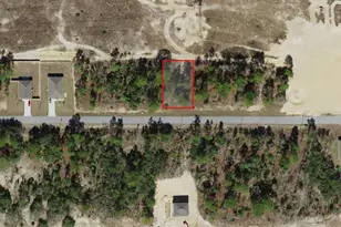 6786 N Pavilion Loop, Citrus Springs, FL 34433 - Photo 1