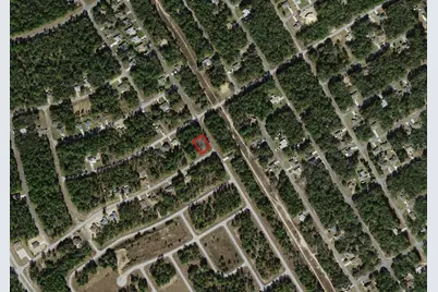 805 W Smallman Place, Citrus Springs, FL 34434 - Photo 4