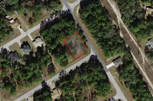 805 W Smallman Pl, Citrus Springs, FL 34434 - Photo 1