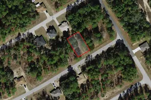 829 W Smallman Pl, Citrus Springs, FL 34434 - Photo 1