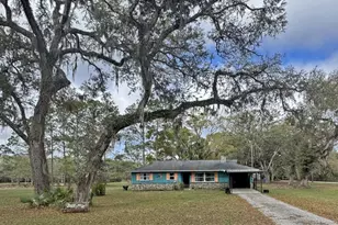 234 S Ricky Terrace, Inverness, FL 34450 - Photo 2