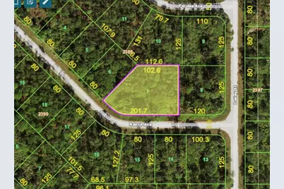 12550 Ranch Avenue, Port Charlotte, FL 33953 - Photo 2