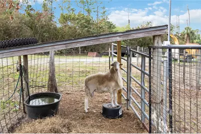 6649 Pimlico Street, North Port, FL 34291 - Photo 52