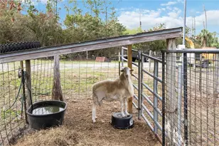 6649 Pimlico St, North Port, FL 34291 - Photo 52