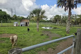 6649 Pimlico St, North Port, FL 34291 - Photo 44