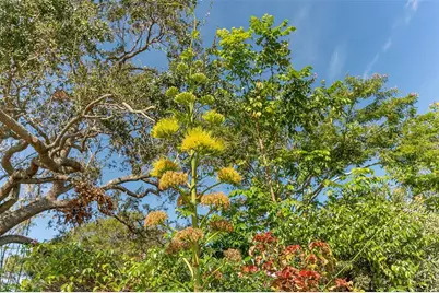 988 Blvd Of The Arts #1411, Sarasota, FL 34236 - Photo 82