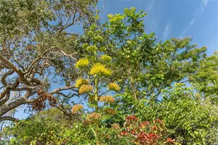 988 Blvd of the Arts, Sarasota, FL 34236 - Photo 82