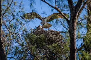 4405 Mt Vernon Dr, Bradenton, FL 34210 - Photo 64