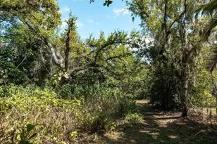 7311 Proctor Rd, Sarasota, FL 34241 - Photo 52