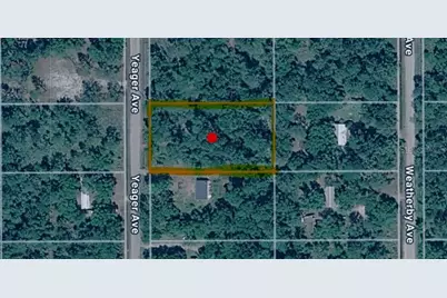 10620 Yeager Avenue, Hastings, FL 32145 - Photo 4