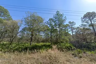 10620 Yeager Ave, Hastings, FL 32145 - Photo 1