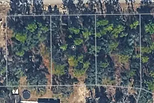 3192 W Wilhelm St, Citrus Springs, FL 34433 - Photo 1