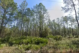 10620 Beckenger Ave, Hastings, FL 32145 - Photo 1