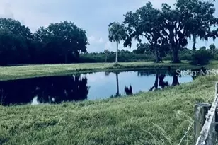 7000 US-19, Terra Ceia, FL 34250 - Photo 8