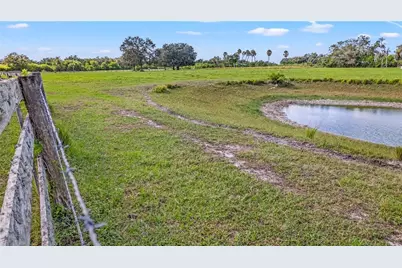 7000 Us-19, Terra Ceia, FL 34250 - Photo 22