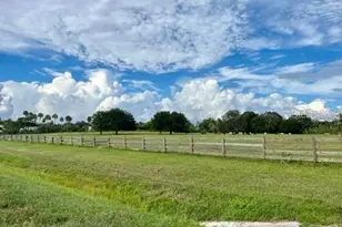 7000 US-19, Terra Ceia, FL 34250 - Photo 12