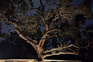 952 46th St, Sarasota, FL 34234 - Photo 26