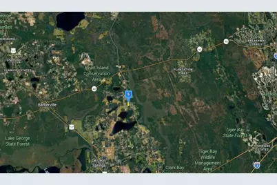 1660 Red Dog Road, De Leon Springs, FL 32130 - Photo 4