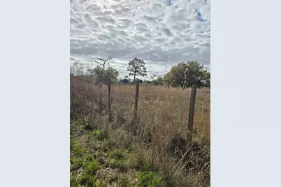 4650 241st Street E, Myakka City, FL 34251 - Photo 4