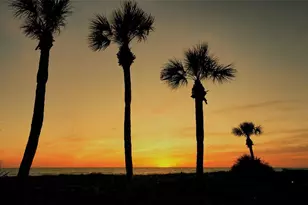 1925 Gulf of Mexico Dr, Longboat Key, FL 34228 - Photo 44