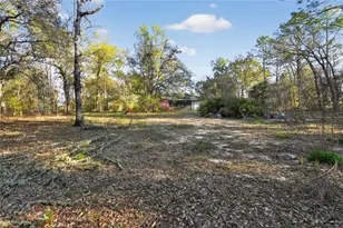 1060 E Rockefeller Ln, Hernando, FL 34442 - Photo 32