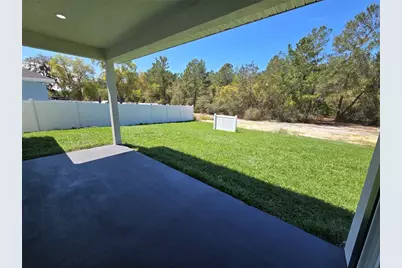 32835 Forest Avenue, Leesburg, FL 34788 - Photo 24