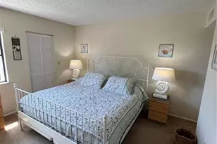 204 Windward Pl, Oldsmar, FL 34677 - Photo 28