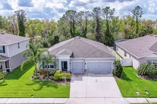 11415 61st St E, Parrish, FL 34219 - Photo 6