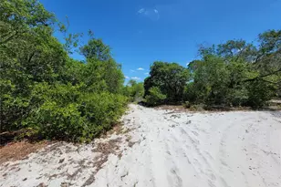 433 Gloria Blvd, Lake Placid, FL 33852 - Photo 2