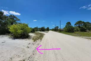 433 Gloria Blvd, Lake Placid, FL 33852 - Photo 1