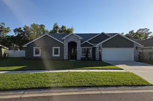 3834 Cold Creek Dr, Valrico, FL 33596 - Photo 1