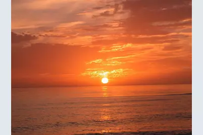 712 White Pine Tree Road #77, Venice, FL 34285 - Photo 98