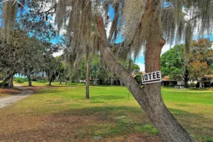 712 White Pine Tree Rd, Venice, FL 34285 - Photo 56