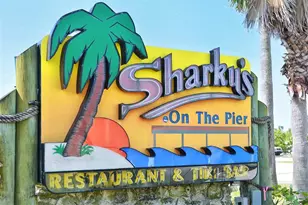 712 White Pine Tree Rd, Venice, FL 34285 - Photo 92