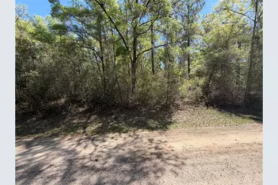 8512 N Escobar Road, Dunnellon, FL 34434 - Photo 6