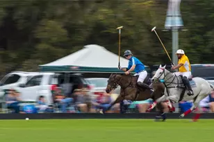 15719 Seaton Pl, Lakewood Ranch, FL 34202 - Photo 72