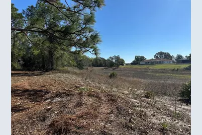 8362 Eric Street, Spring Hill, FL 34608 - Photo 4