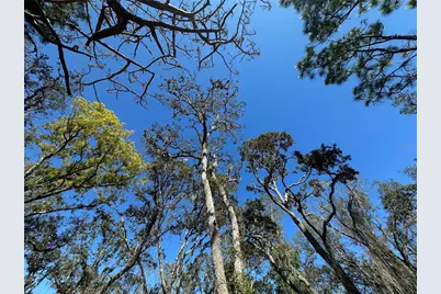 8362 Eric Street, Spring Hill, FL 34608 - Photo 16