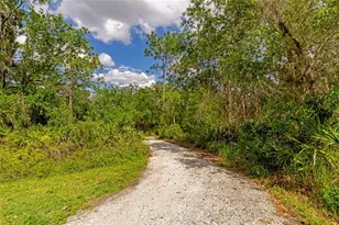 17009 Peaceful Valley Dr, Wimauma, FL 33598 - Photo 50