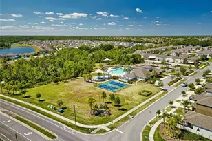 17009 Peaceful Valley Dr, Wimauma, FL 33598 - Photo 56