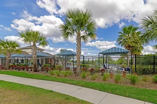 17009 Peaceful Valley Dr, Wimauma, FL 33598 - Photo 48