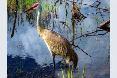 4456 Streamside Court #1605, Sarasota, FL 34238 - Photo 40