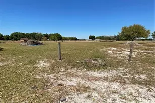 2735 Buck Dr, Zolfo Springs, FL 33890 - Photo 18