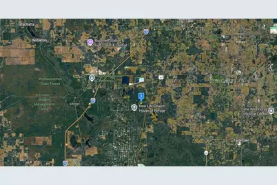 11515 County Rd 675 W, Webster, FL 33597 - Photo 4