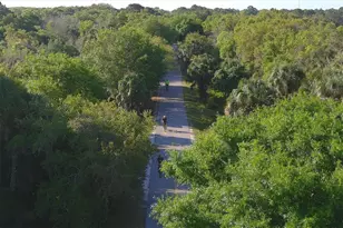 135 Woodland Pl, Osprey, FL 34229 - Photo 62