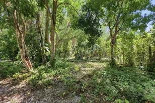 1264 18th St, Sarasota, FL 34234 - Photo 40