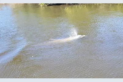 6912 7th Avenue Boulevard NW, Bradenton, FL 34209 - Photo 56